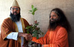 SWAMI CHIDANAND SARASWATI PRESENTING THE RUDRAKSHRA TREE TO IMAM UMER AHMED ILYASI AT KUMBH MELA ALLAHBAD.